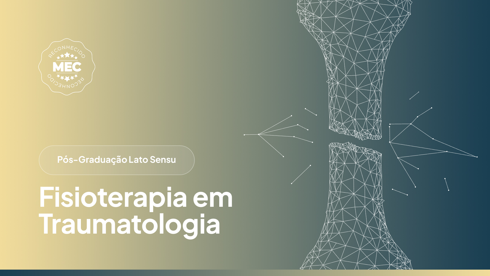 Fisioterapia em Traumatologia
